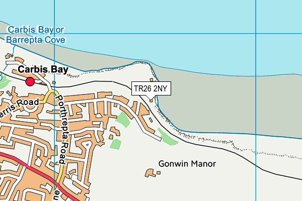 TR26 2NY map - OS VectorMap District (Ordnance Survey)