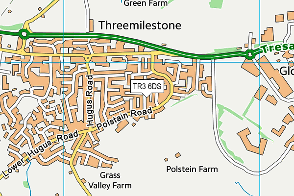 TR3 6DS map - OS VectorMap District (Ordnance Survey)