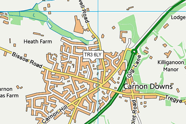 TR3 6LY map - OS VectorMap District (Ordnance Survey)