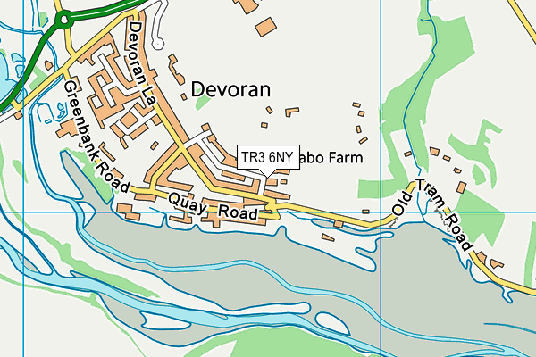 TR3 6NY map - OS VectorMap District (Ordnance Survey)