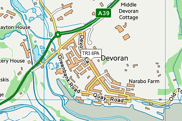 Devoran School map (TR3 6PA) - OS VectorMap District (Ordnance Survey)