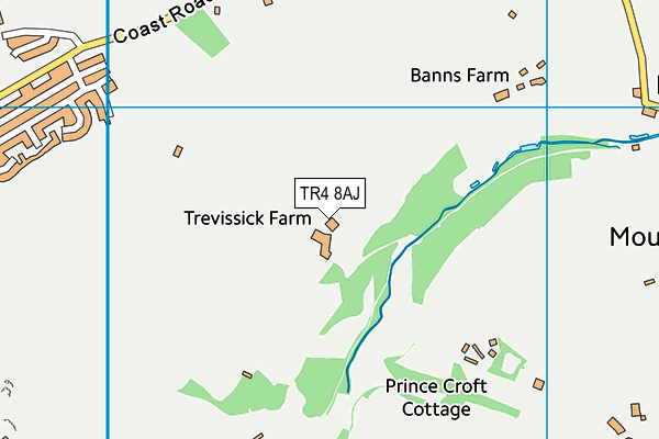 TR4 8AJ map - OS VectorMap District (Ordnance Survey)