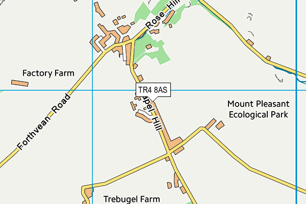 TR4 8AS map - OS VectorMap District (Ordnance Survey)