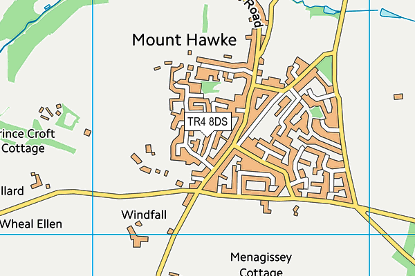 TR4 8DS map - OS VectorMap District (Ordnance Survey)