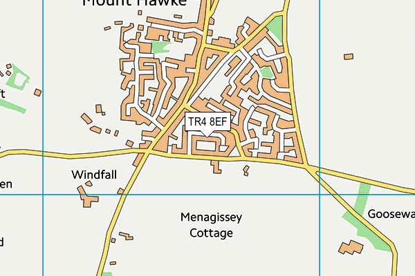 TR4 8EF map - OS VectorMap District (Ordnance Survey)