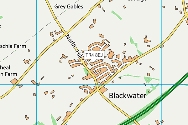 TR4 8EJ map - OS VectorMap District (Ordnance Survey)