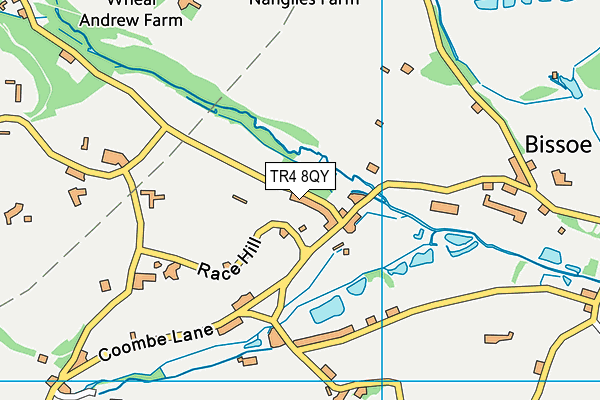 TR4 8QY map - OS VectorMap District (Ordnance Survey)