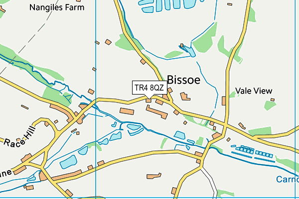 TR4 8QZ map - OS VectorMap District (Ordnance Survey)