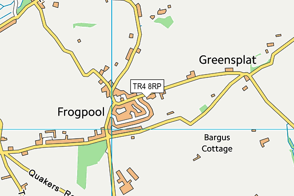 TR4 8RP map - OS VectorMap District (Ordnance Survey)