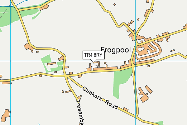 TR4 8RY map - OS VectorMap District (Ordnance Survey)