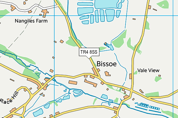TR4 8SS map - OS VectorMap District (Ordnance Survey)