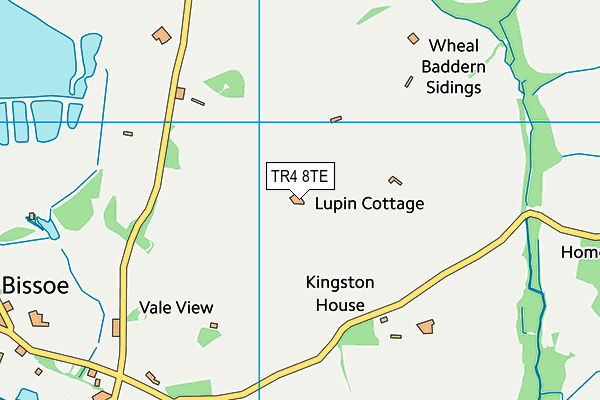 TR4 8TE map - OS VectorMap District (Ordnance Survey)