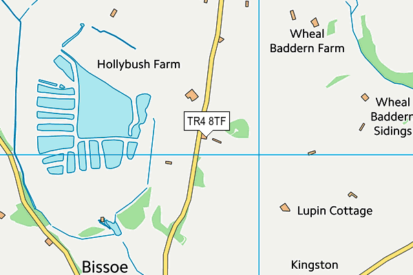 TR4 8TF map - OS VectorMap District (Ordnance Survey)