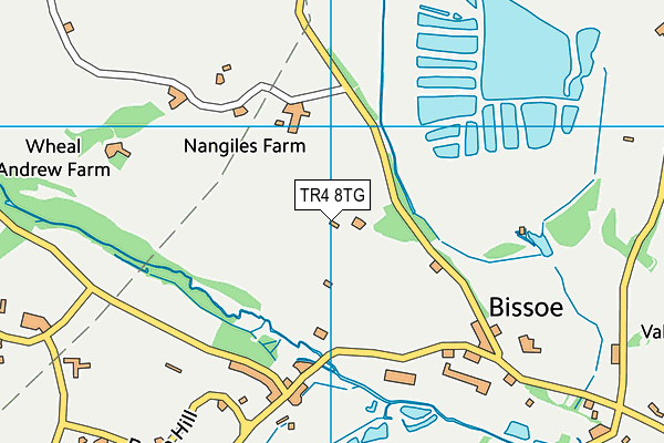 TR4 8TG map - OS VectorMap District (Ordnance Survey)