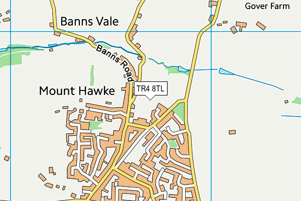 TR4 8TL map - OS VectorMap District (Ordnance Survey)