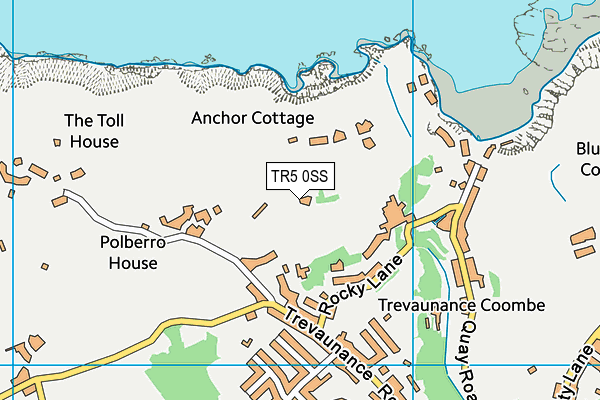 Enys Parc map (TR5 0SS) - OS VectorMap District (Ordnance Survey)