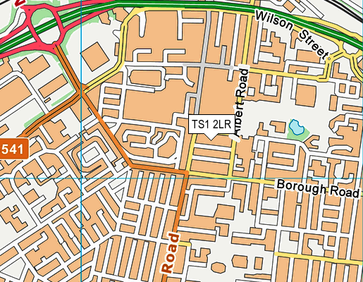 TS1 2LR map - OS VectorMap District (Ordnance Survey)