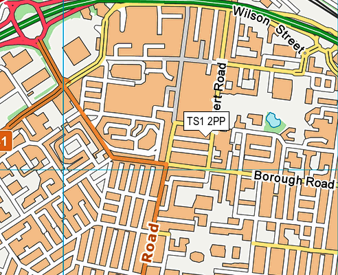 TS1 2PP map - OS VectorMap District (Ordnance Survey)