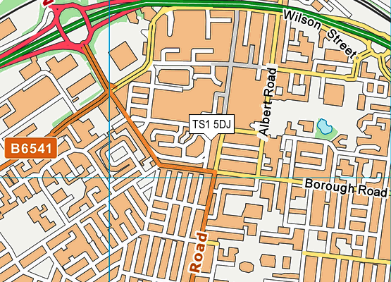 TS1 5DJ map - OS VectorMap District (Ordnance Survey)