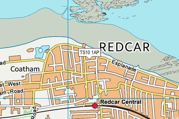 TS10 1AP map - OS VectorMap District (Ordnance Survey)