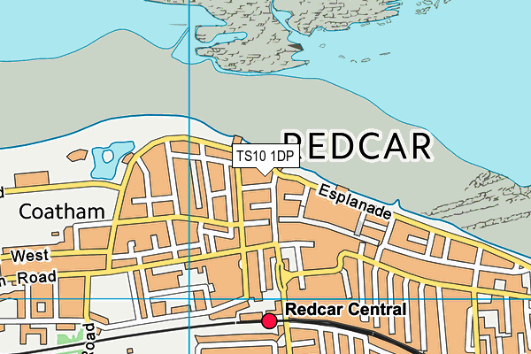 TS10 1DP map - OS VectorMap District (Ordnance Survey)