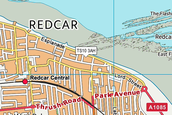 TS10 3AH map - OS VectorMap District (Ordnance Survey)