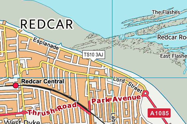 TS10 3AJ map - OS VectorMap District (Ordnance Survey)