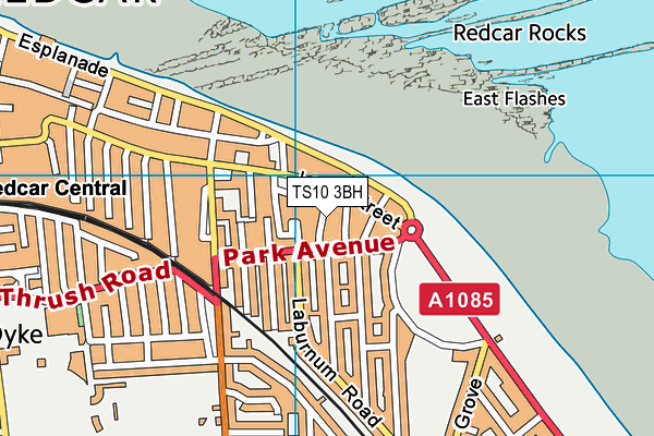 TS10 3BH map - OS VectorMap District (Ordnance Survey)