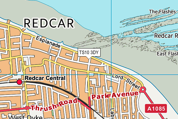 TS10 3DY map - OS VectorMap District (Ordnance Survey)