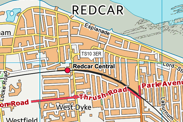 TS10 3ER map - OS VectorMap District (Ordnance Survey)