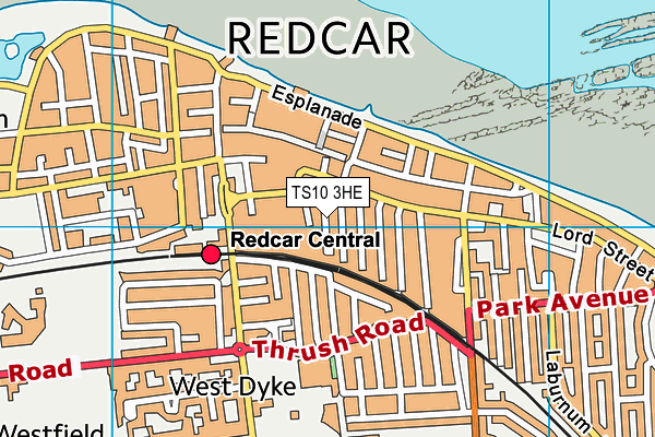 TS10 3HE map - OS VectorMap District (Ordnance Survey)