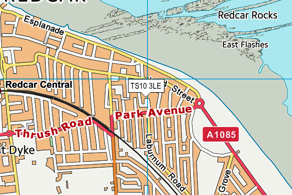 TS10 3LE map - OS VectorMap District (Ordnance Survey)