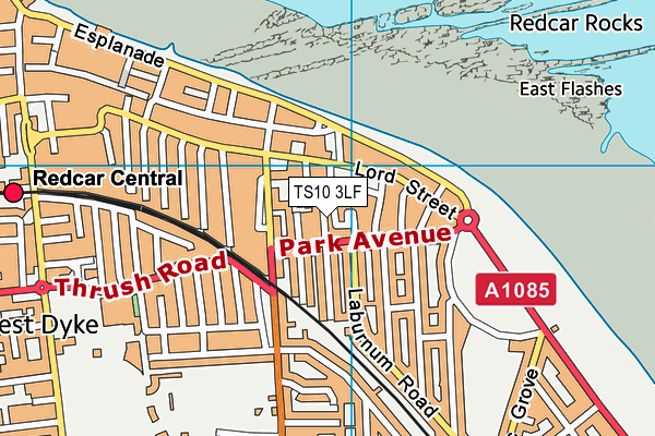 TS10 3LF map - OS VectorMap District (Ordnance Survey)