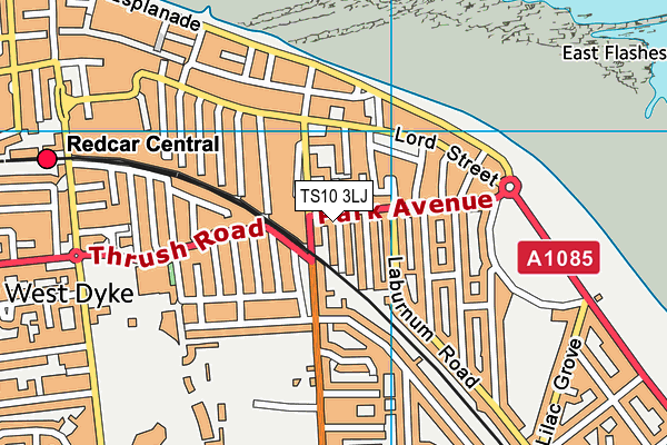 TS10 3LJ map - OS VectorMap District (Ordnance Survey)