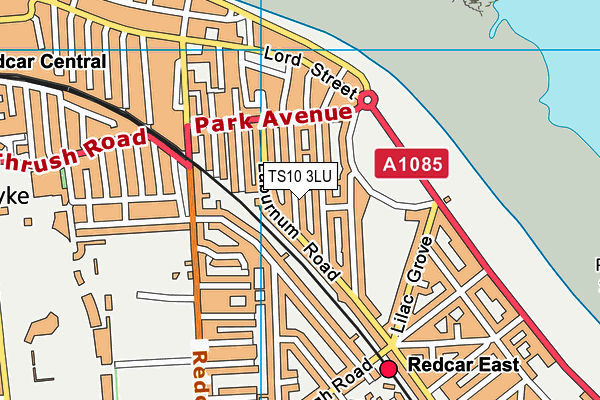 TS10 3LU map - OS VectorMap District (Ordnance Survey)