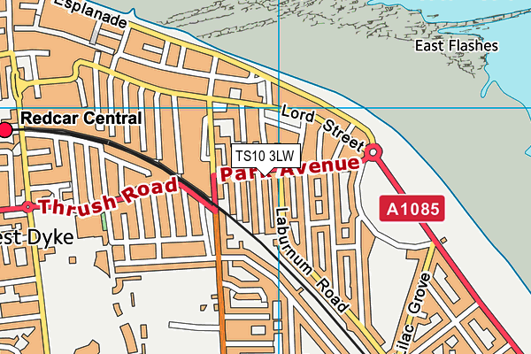 TS10 3LW map - OS VectorMap District (Ordnance Survey)