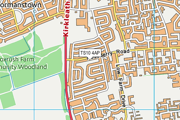 TS10 4AP map - OS VectorMap District (Ordnance Survey)