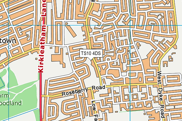 TS10 4DS map - OS VectorMap District (Ordnance Survey)