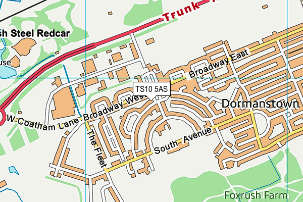 TS10 5AS map - OS VectorMap District (Ordnance Survey)