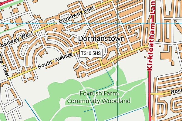 TS10 5HS map - OS VectorMap District (Ordnance Survey)