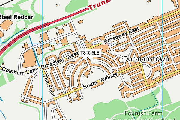 TS10 5LE map - OS VectorMap District (Ordnance Survey)