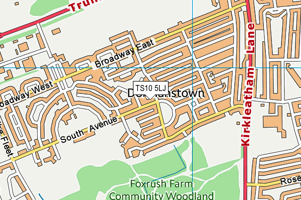 TS10 5LJ map - OS VectorMap District (Ordnance Survey)