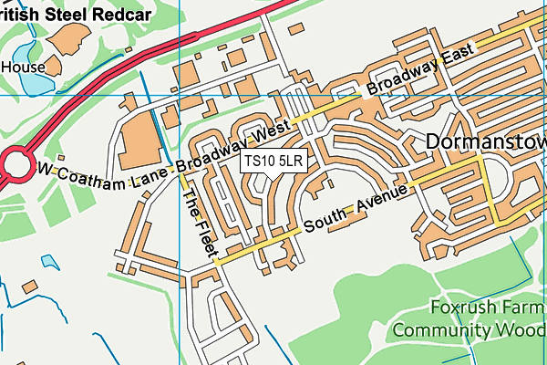 TS10 5LR map - OS VectorMap District (Ordnance Survey)