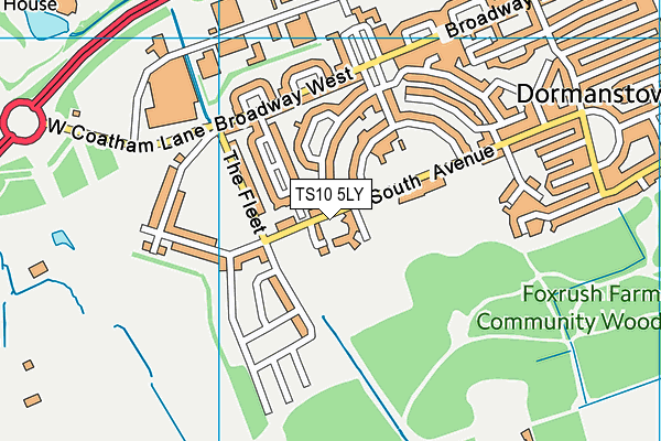 Dormanstown Primary Academy map (TS10 5LY) - OS VectorMap District (Ordnance Survey)