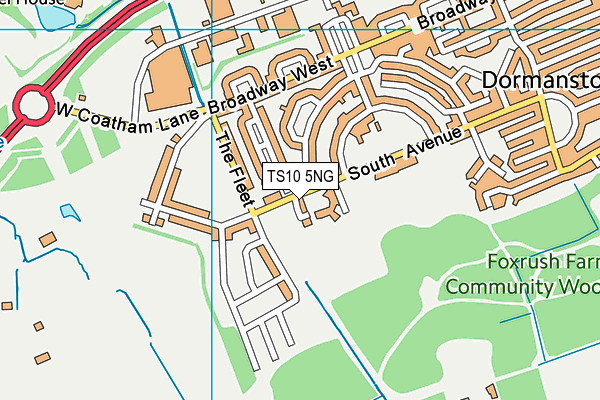 TS10 5NG map - OS VectorMap District (Ordnance Survey)