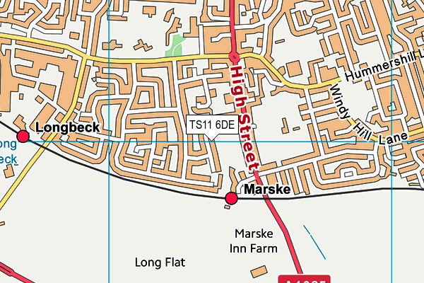 TS11 6DE map - OS VectorMap District (Ordnance Survey)