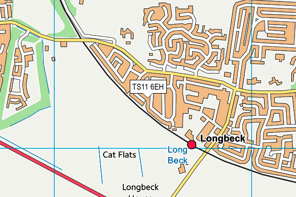 TS11 6EH map - OS VectorMap District (Ordnance Survey)