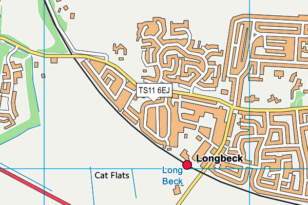 TS11 6EJ map - OS VectorMap District (Ordnance Survey)