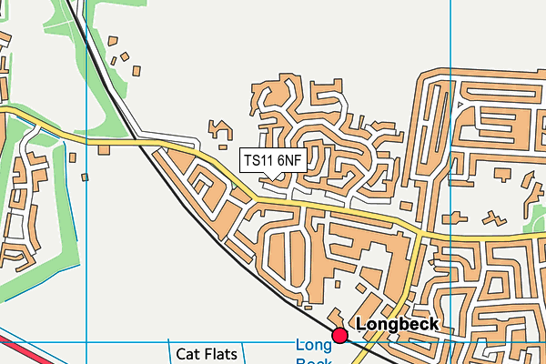 TS11 6NF map - OS VectorMap District (Ordnance Survey)