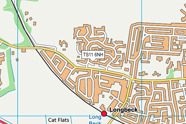 TS11 6NH map - OS VectorMap District (Ordnance Survey)